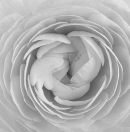 The Risk of Living Longer