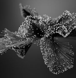 The Risk of Living Longer