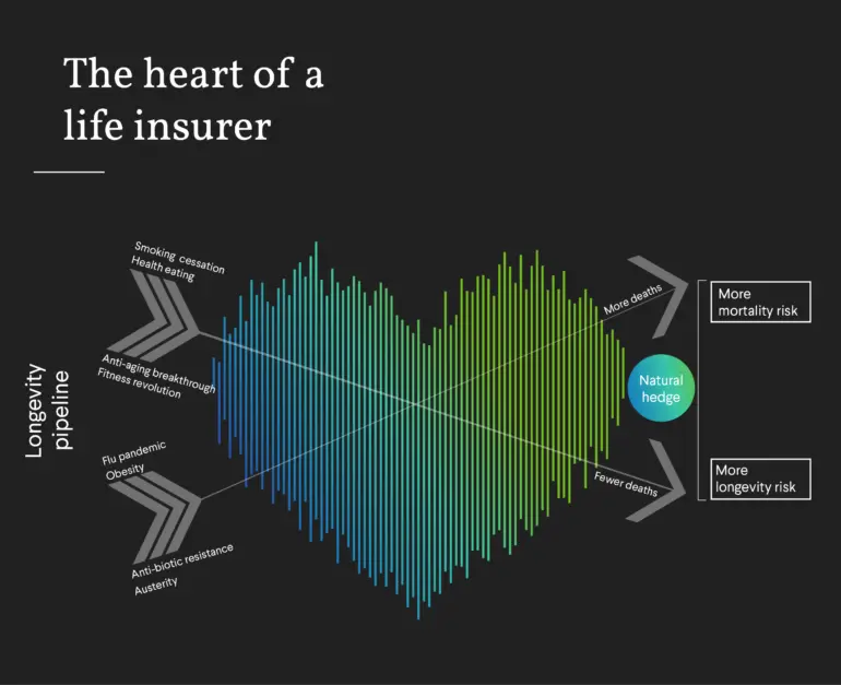 Heart of an Insurer infographic