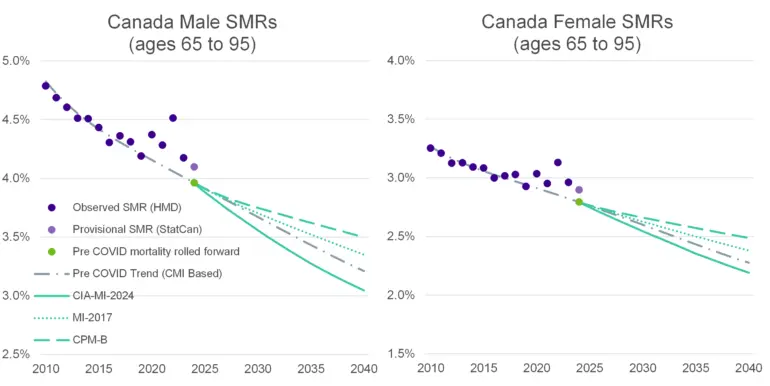 Two side-by-side line charts titled “Canada Male SMRs (ages 65 to 95)” and “Canada Female SMRs (ages 65 to 95)” show mortality rates from 2010 to 2040. For both males and females, observed SMRs decline gradually from about 4.7% to 4.1% for males and from about 3.2% to 2.9% for females by the early 2020s. Projected lines (including CIA-MI-2024, MI-2017, CPM-B, and a pre-COVID trend) all continue downward, with the CIA-MI-2024 projection showing the steepest decline. A point marks pre-COVID mortality rolled forward around 2023. Overall, the chart shows declining mortality rates over time for both sexes, with males consistently higher than females.