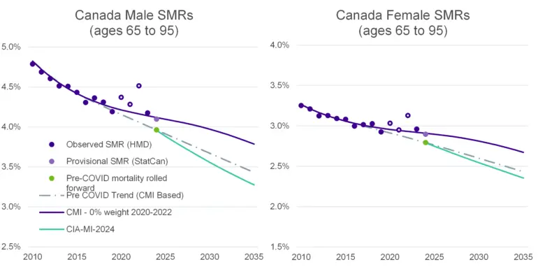 Two side-by-side charts titled “Canada Male SMRs (ages 65 to 95)” and “Canada Female SMRs (ages 65 to 95)” show mortality rates from 2010 to 2035. Observed SMR (HMD) generally decline over time but include elevated values around 2020–2022. A light purple dot marks provisional recent data, and a green dot shows pre-COVID mortality rolled forward near 2023. A dashed line indicates the pre-COVID downward trend. CMI – 0% weight 2020–2022 smooths the data while discounting pandemic years, resulting in a more gradual decline. CIA-MI-2024 projects a steeper drop in mortality going forward. Male rates start higher (around 4.8%) and fall toward about 3.7% by 2035, while female rates start lower (around 3.3%) and fall to about 2.7%. Both charts show consistent declines over time, with males higher than females throughout.