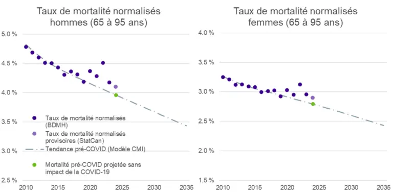 Graphiques de dispersion côte à côte intitulés « SMR masculins au Canada (âges de 65 à 95 ans) » et « SMR féminins au Canada (âges de 65 à 95 ans) ». Chaque graphique montre les taux de mortalité annuels d’environ 2010 à 2024, avec des points violets représentant le SMR observé (HMD) en baisse au fil du temps, une ligne de tendance descendante en pointillés avant la COVID, et un point vert indiquant le taux attendu pour 2023–2024 en l’absence de la COVID. Les taux masculins passent d’environ 4,8 % à près de 4,1 %, tandis que les taux féminins diminuent d’environ 3,3 % à près de 2,8 %, les deux suivant globalement une tendance baissière régulière.